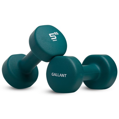 Neoprene dumbbells 5kg hand - neoprene,